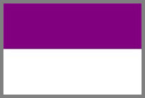 Rajpipla Flag Rajpipla Flag